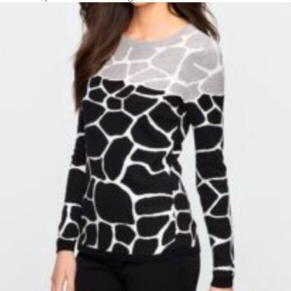 Talbots Bonbonella Giraffe 🦒 Print Sweater Pulliver Medium - Picture 1 of 3